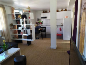 Appartement rue de Paris (quartier du Thabor)